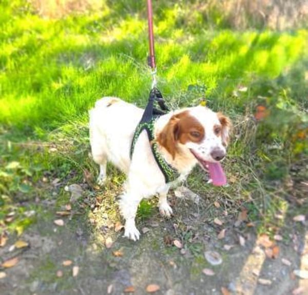 Emma ein perfektes Mädchen