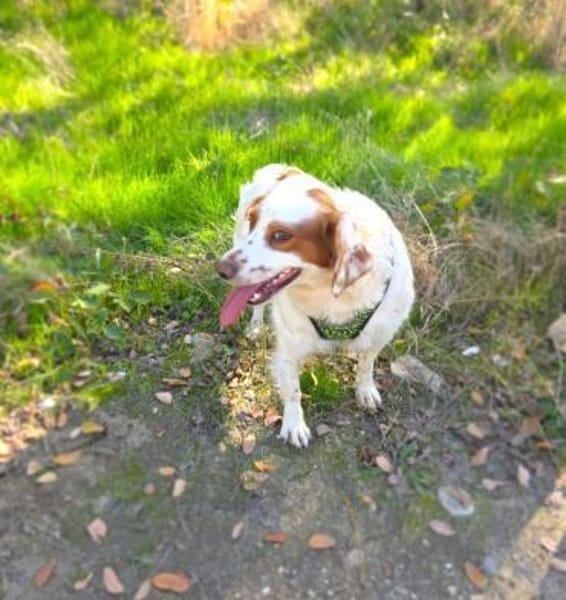 Emma ein perfektes Mädchen