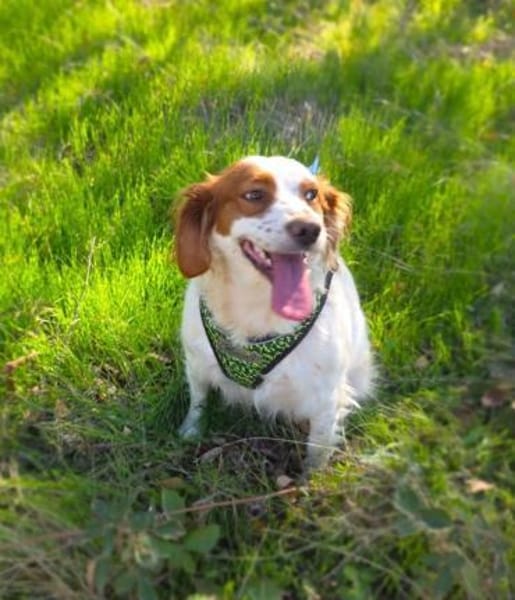 Emma ein perfektes Mädchen