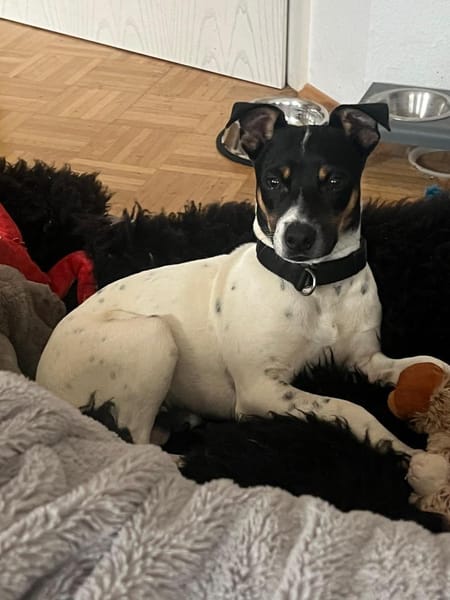 Redford - lernwillig und sozial