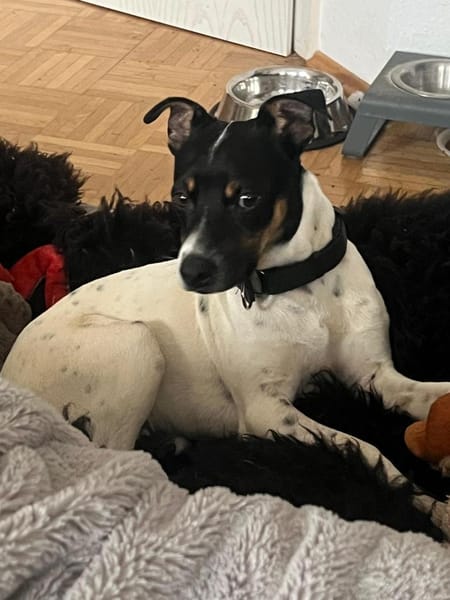 Redford - lernwillig und sozial