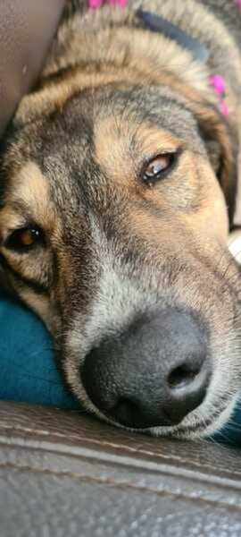 SISSY * liebevoll und verschmust