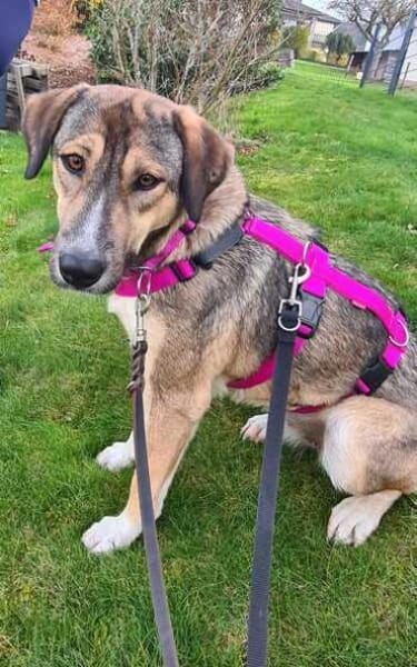 SISSY * liebevoll und verschmust