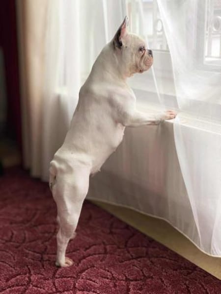 Lulu - ist ausgeglichen