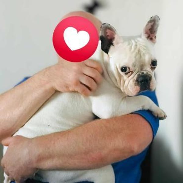 Lulu - ist ausgeglichen