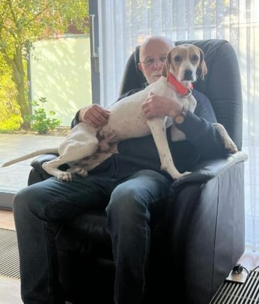 PLUTO - Zuckerschnute sucht Zuhause!