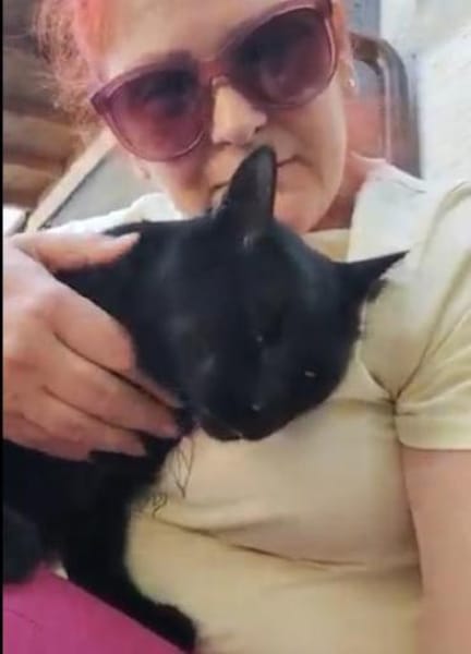 Einzelprinz Blacky in 86154 Augsburg