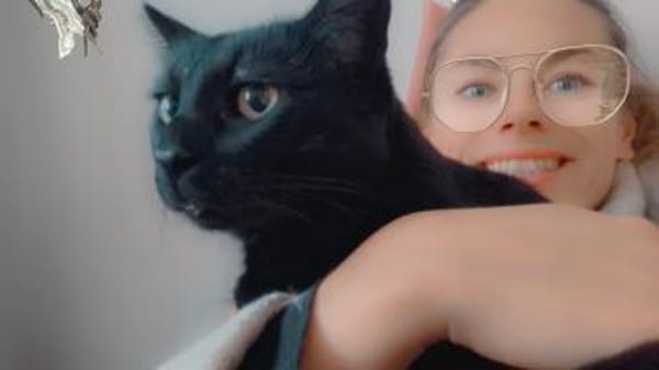 Einzelprinz Blacky in 86154 Augsburg