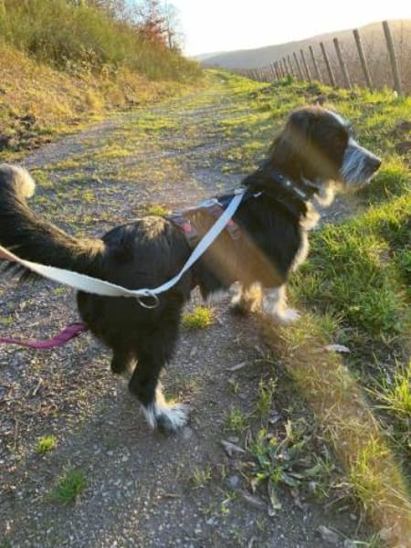 RADISH -sehr menschenbezogen & verschmus