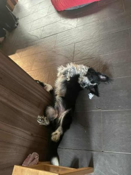 RADISH -sehr menschenbezogen & verschmus