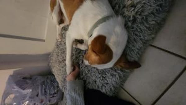 Sanfte Nami wartet in 13509 Berlin