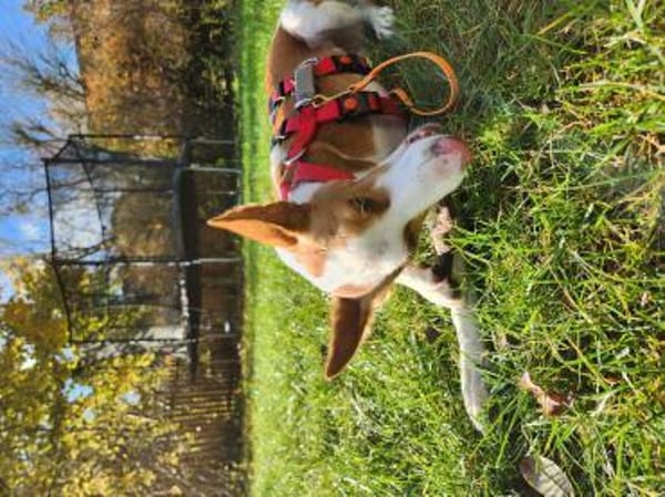 Sanfte Nami wartet in 13509 Berlin