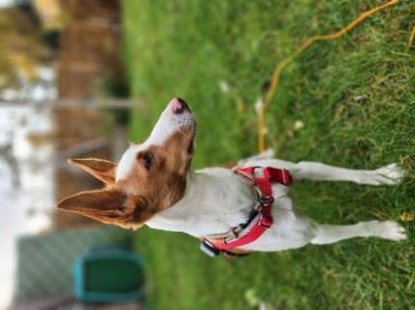 Sanfte Nami wartet in 13509 Berlin