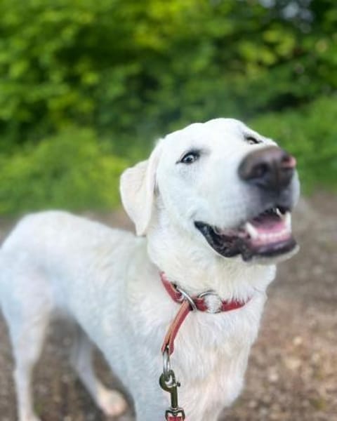Libby wartet auf ihre Familie