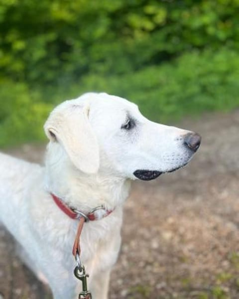 Libby wartet auf ihre Familie