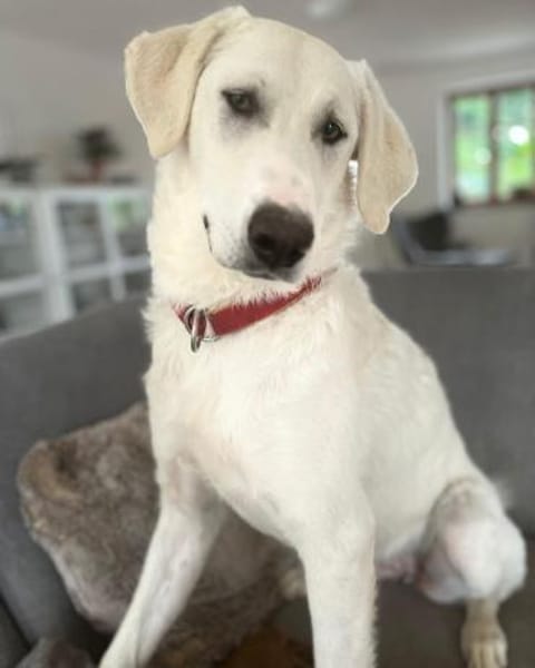 Libby wartet auf ihre Familie