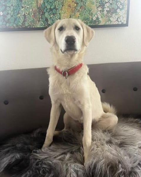 Libby wartet auf ihre Familie