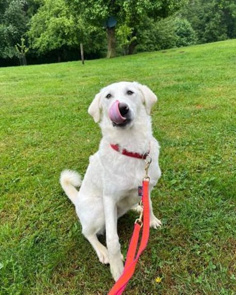 Libby wartet auf ihre Familie