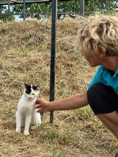 Tabea - sucht Zuhause voller Kuschelzeit
