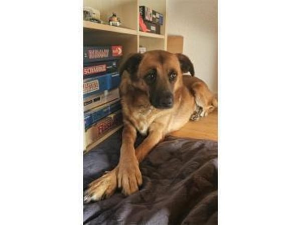 Milena - wartet in 48165 Münster