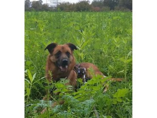 Milena - wartet in 48165 Münster