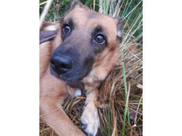 Milena - wartet in 48165 Münster