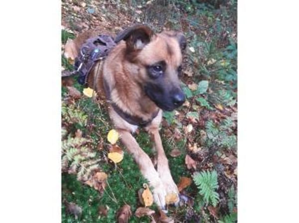 Milena - wartet in 48165 Münster