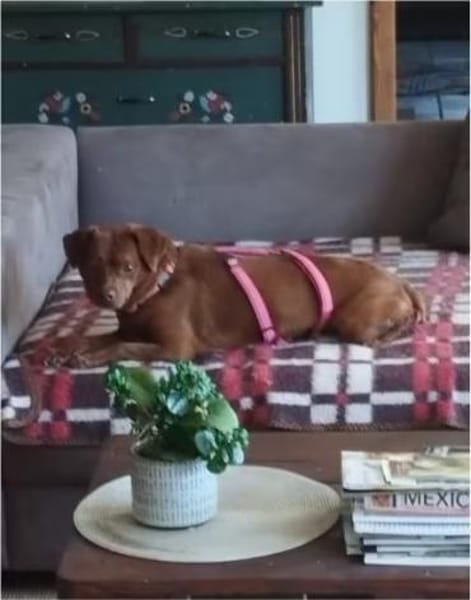 Mandy wartet in Heiligenstadt (Bayern)!