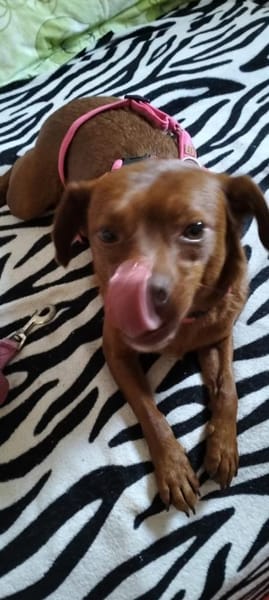 Mandy wartet in Heiligenstadt (Bayern)!