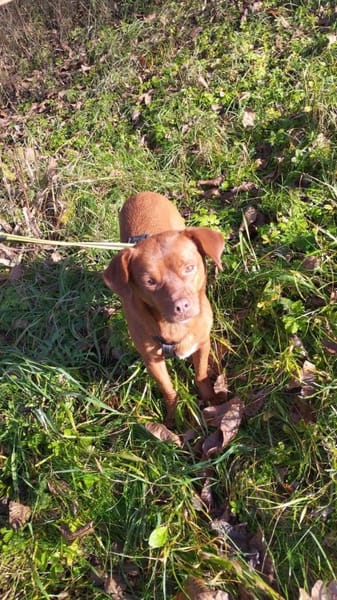 Mandy wartet in Heiligenstadt (Bayern)!