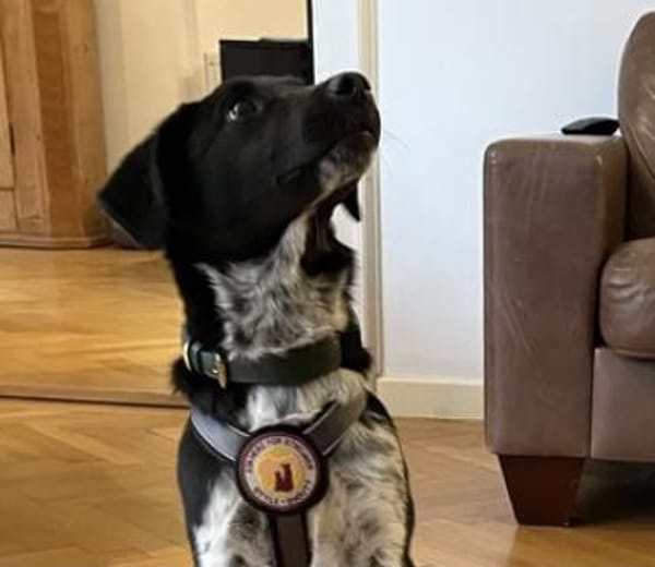 Frohnatur Amelie möchte bei dir einziehn