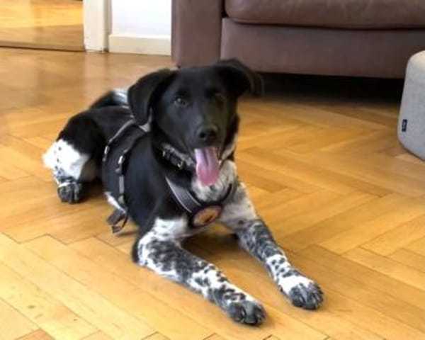 Frohnatur Amelie möchte bei dir einziehn