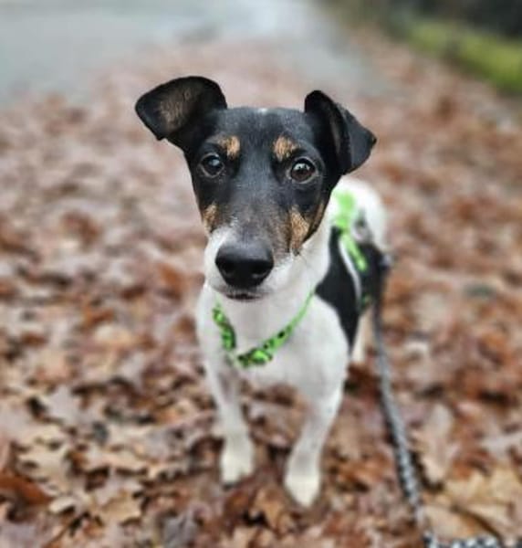 Marcella ist sportlich und schlau