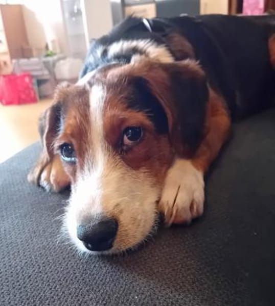 Emilia, freundlich und zauberhaft sucht