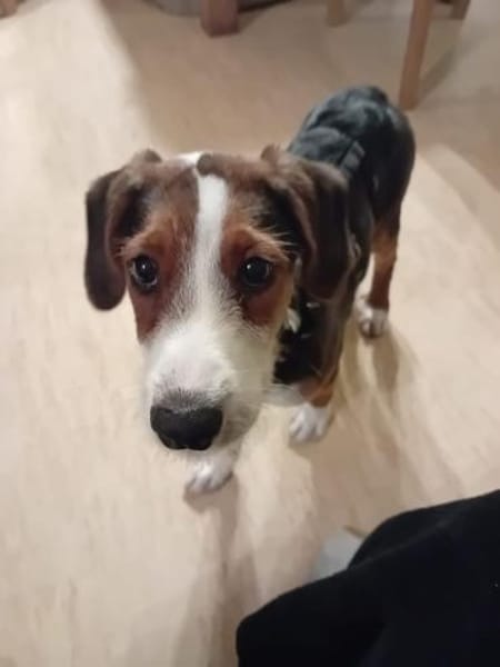 Emilia, freundlich und zauberhaft sucht