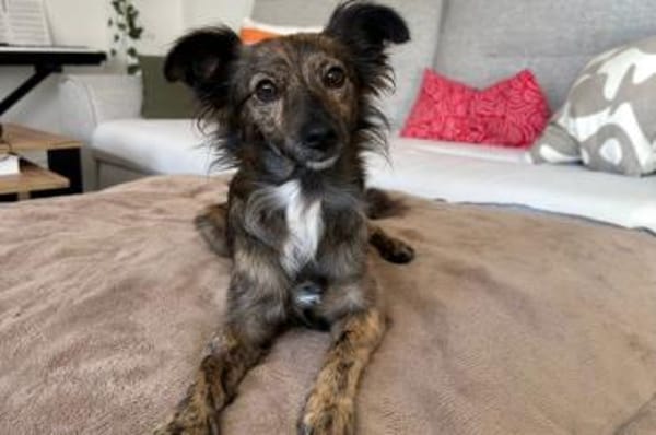 Sabina - wartet in 44799 Bochum