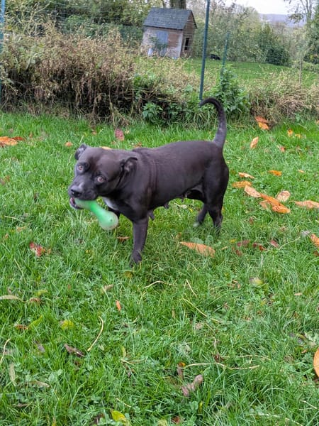 PATY la créole en normandie