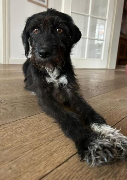 Dia, fröhlicher Sonnenschein, ca. 4 Jahr