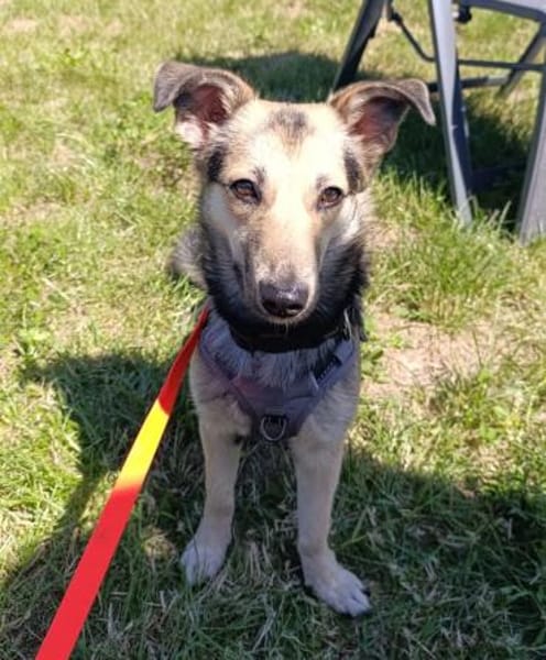 Debby möchte eine Familie