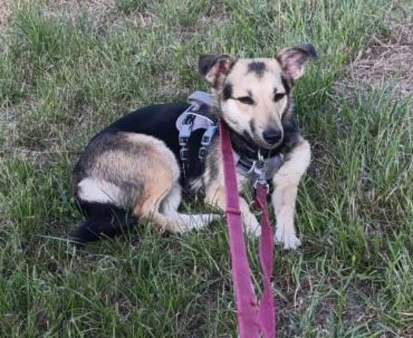 Debby möchte eine Familie