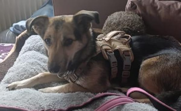 Debby möchte eine Familie