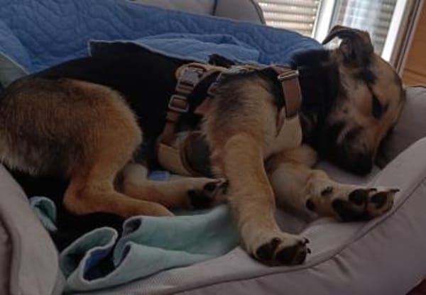 Debby möchte eine Familie