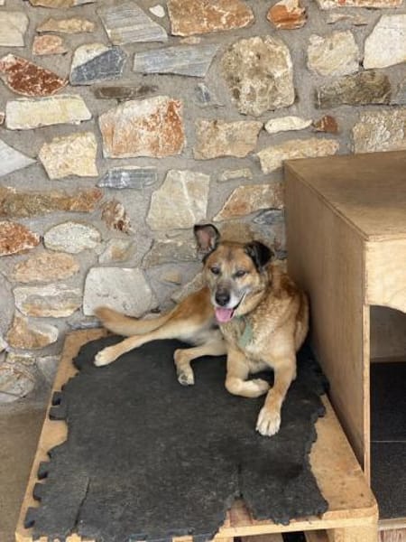 Baldo sucht das Glück