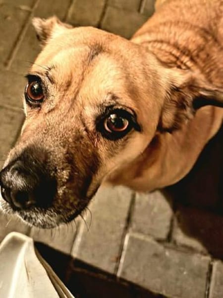 Ebba - kleine Herzensdame