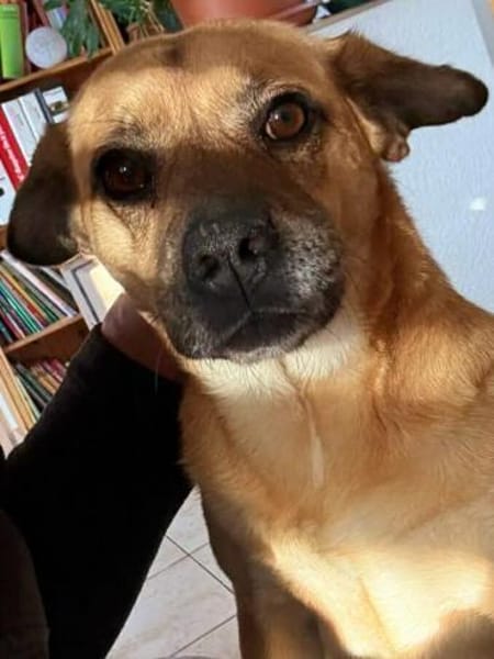 Ebba - kleine Herzensdame