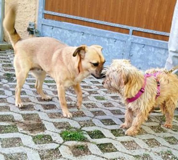 Ebba - kleine Herzensdame