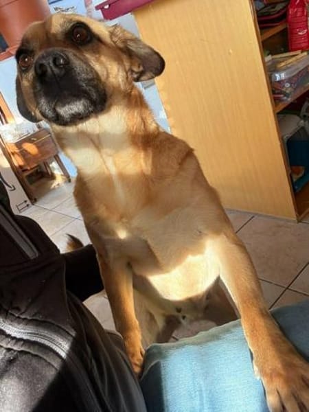 Ebba - kleine Herzensdame