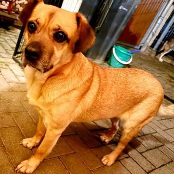 Ebba - kleine Herzensdame