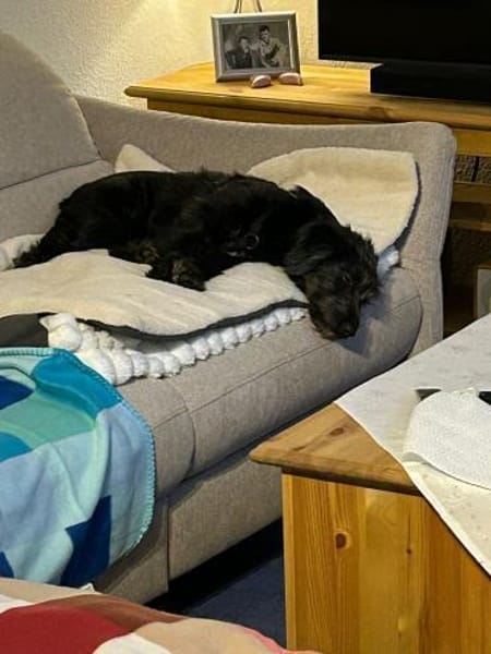 Pippin, liebes Mädchen