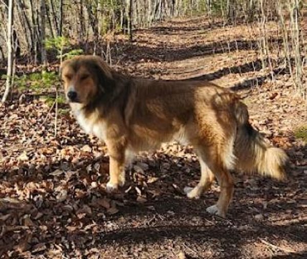 Cliff sucht -seinen Partner-